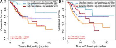 Comprehensive Analysis to Identify SPP1 as a Prognostic Biomarker in Cervical Cancer